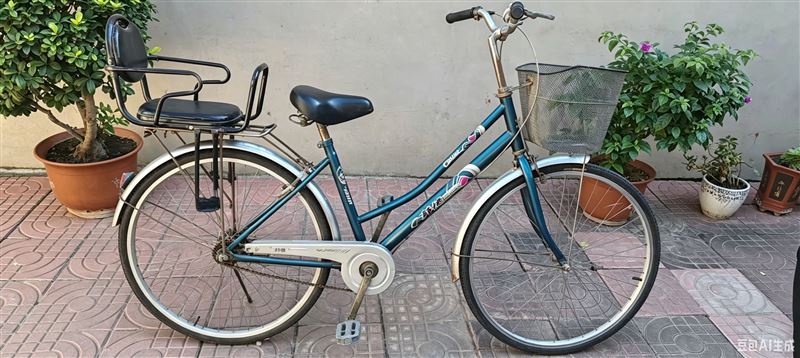 正定二手自行车