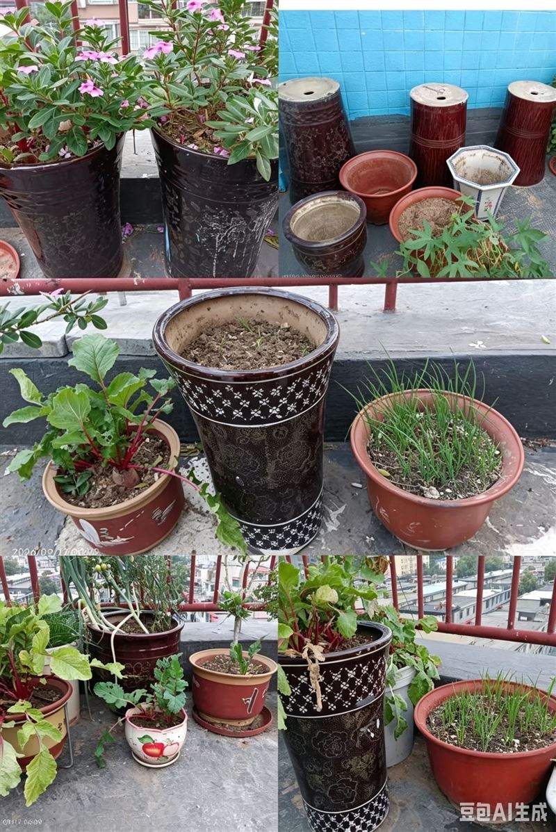正定二手物品