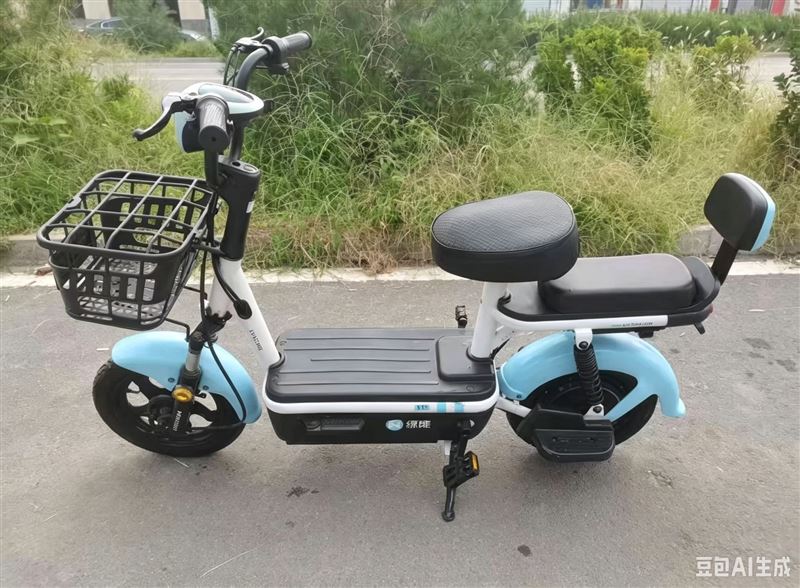 正定二手电动车