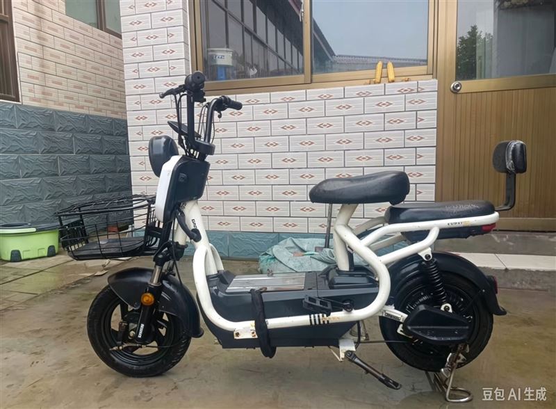 正定二手电动车